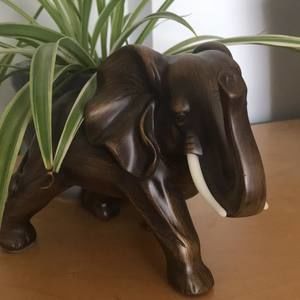 Meet your Posher, Jane